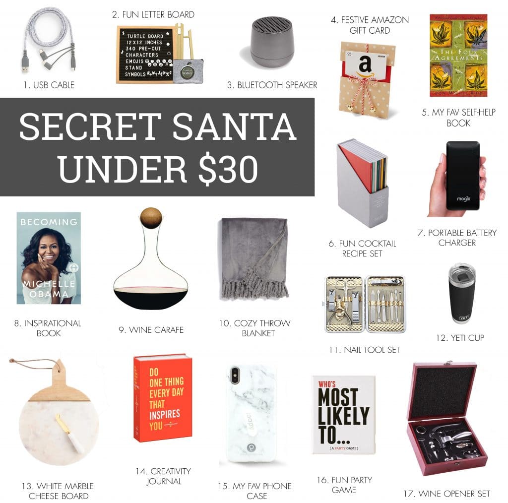 Secret Santa Under $30 